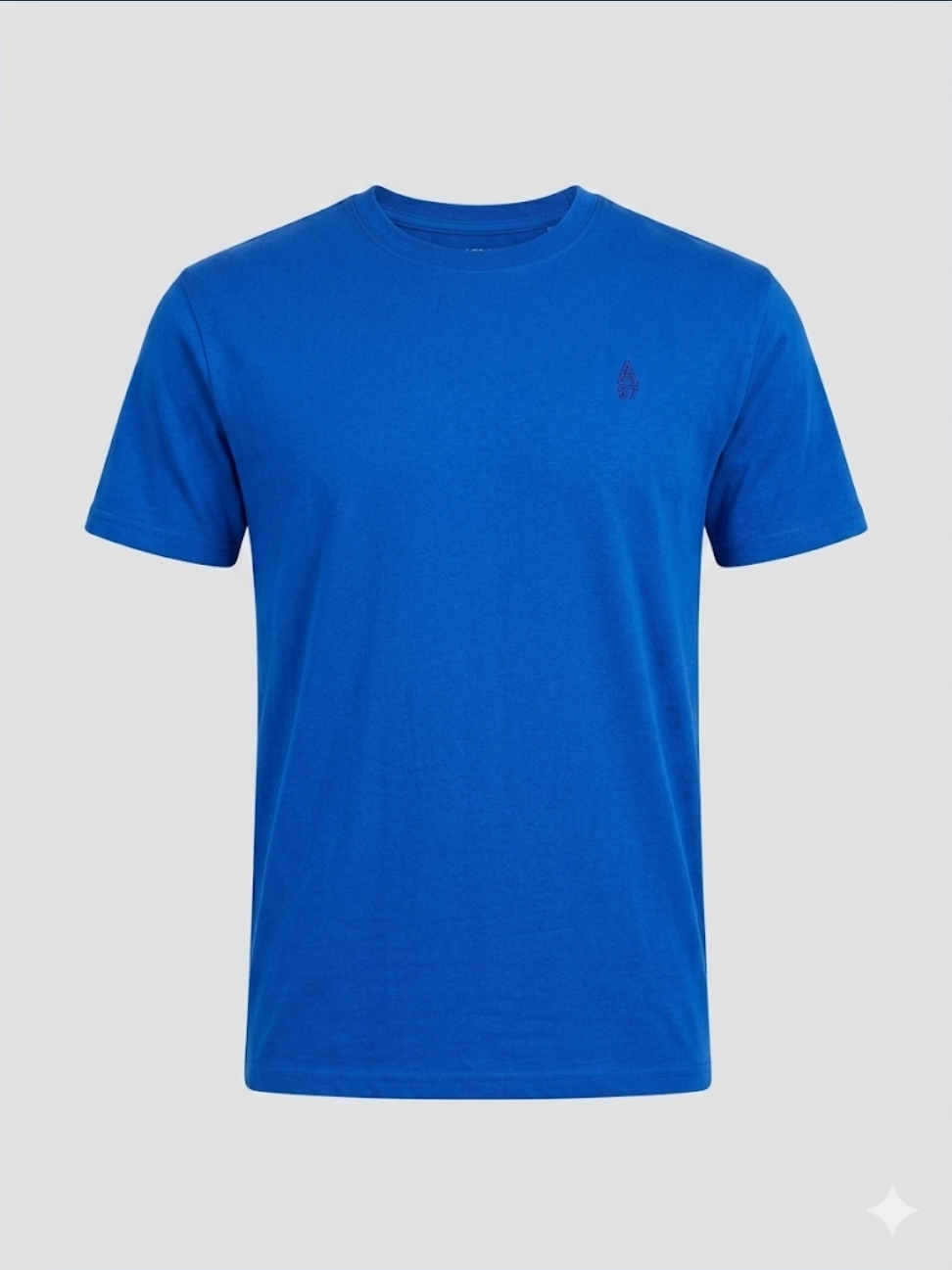 Camiseta Aeropostale para Hombre (Pieza Unica)